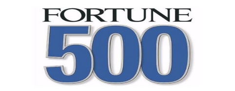 ScoutCam Fortune 500