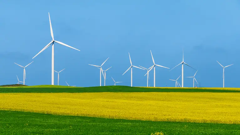energy industry